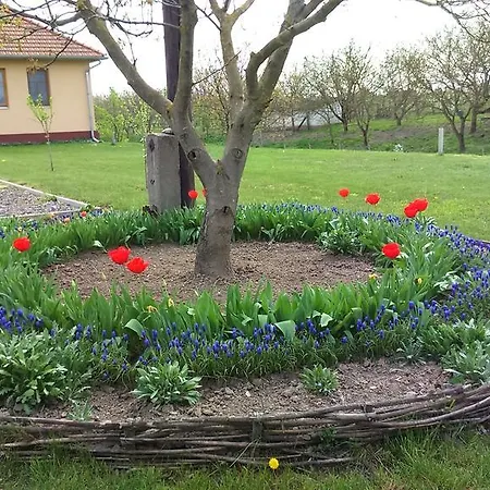 Guest house Koelcsey Kuria Vendeghaz
